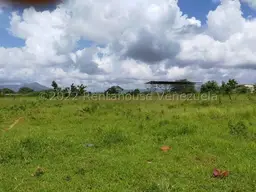 Vista 28