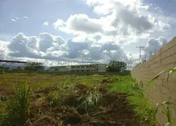 Vista 31
