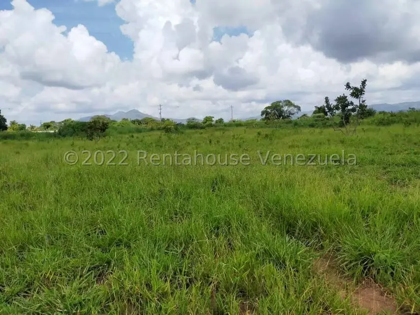 Terreno (Industrial) en Venta en Tinaquillo, Cojedes - 10