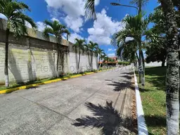 Vista 33