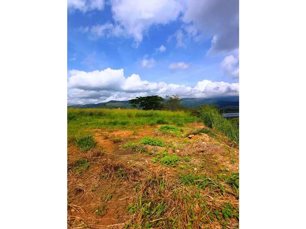 Vendo terreno con vista al dique 1200m2 Terrazas del Country 6350 - 15