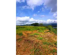 Vista 15