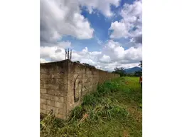 Vista 18