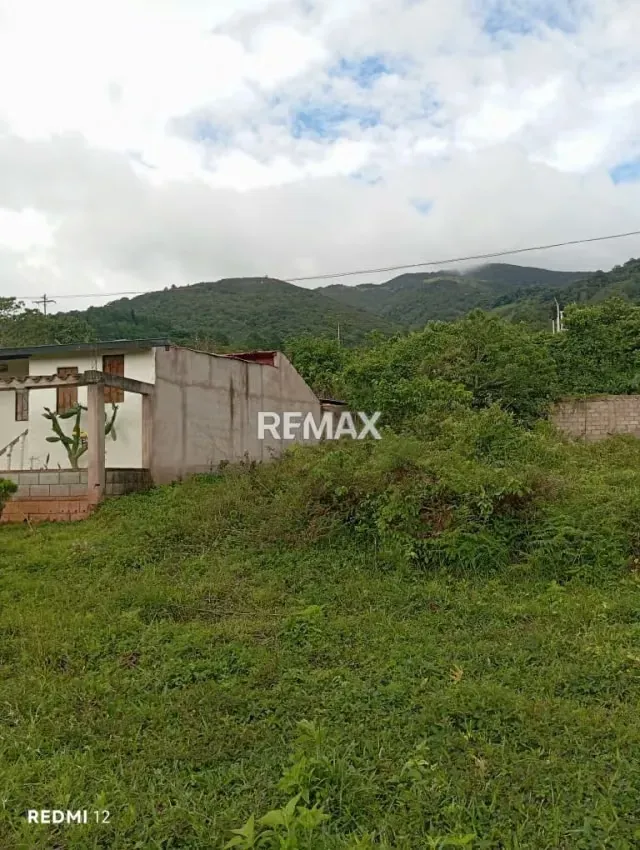Venta de Terreno Ubicado en San Rafael de Cordero - 2