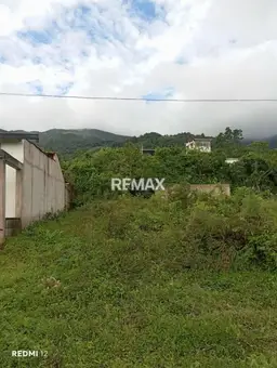 View 4