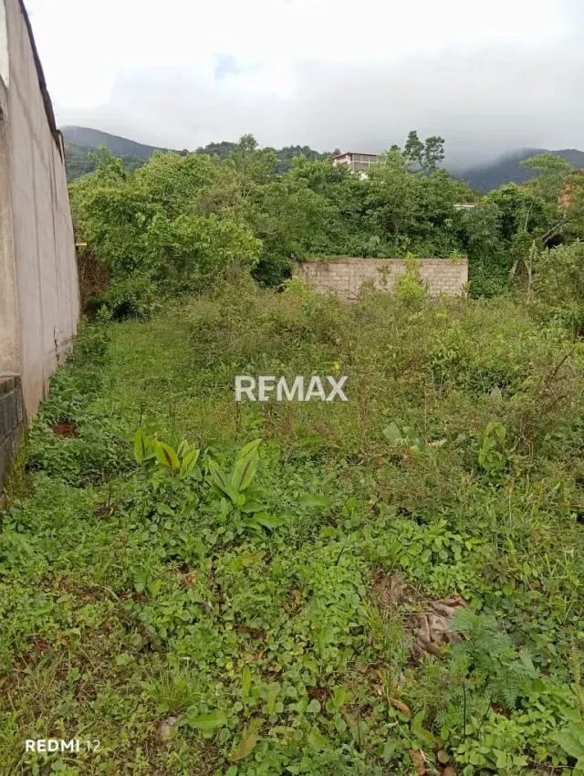 Venta de Terreno Ubicado en San Rafael de Cordero - 6