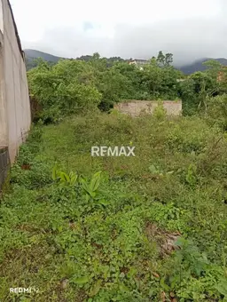 View 6