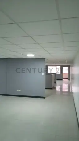 Vista 16
