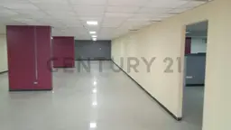 Vista 19