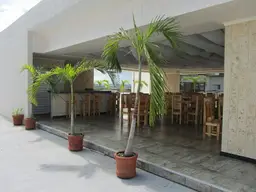 Vista 25