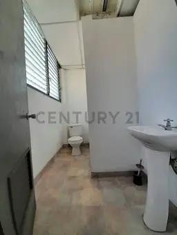 View 15