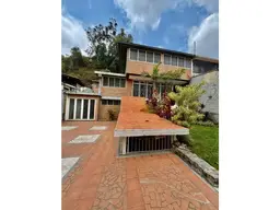 Vista 24