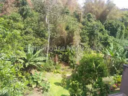 View 30