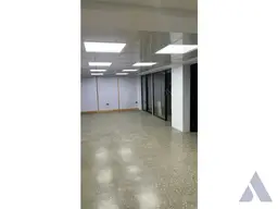 Vista 5