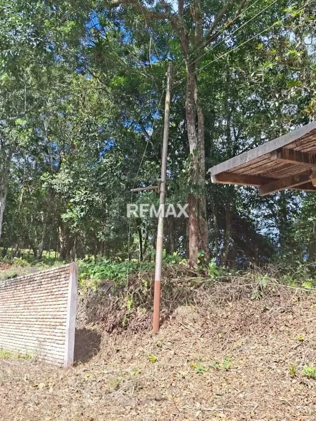 Se vende terreno con estructura para cabañas ideal para casas de campo - 4