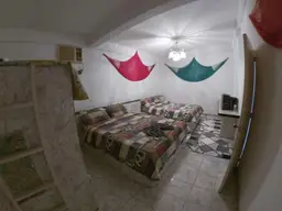 Vista 19