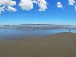 Vista 4