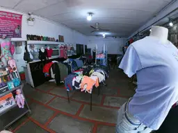 Vista 5