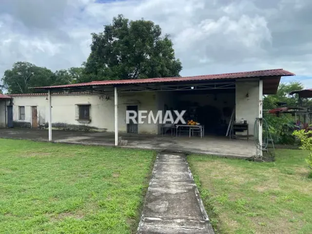 Excelente granja productiva en el Municipio Ospino - 3
