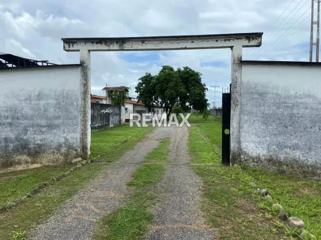 Excelente granja productiva en el Municipio Ospino - 6