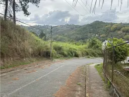 View 4
