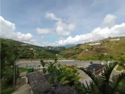 Vista 19