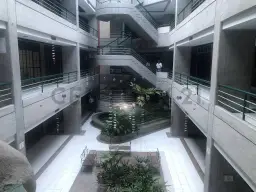 Vista 10