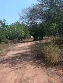 Se Vende extenso Terreno en Carretera Lara Zulia. Santa Rita - 2