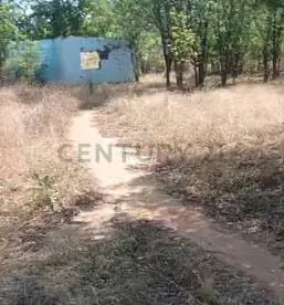Se Vende extenso Terreno en Carretera Lara Zulia. Santa Rita - 4