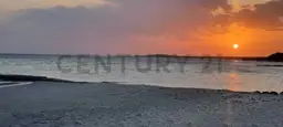 Vista 9