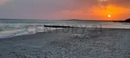 Vista 10