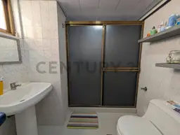 Vista 11