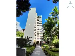 Vista 1