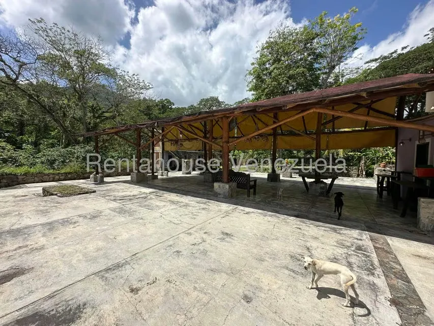 Comercial (Posada) en Venta en Cumboto, Aragua - 40