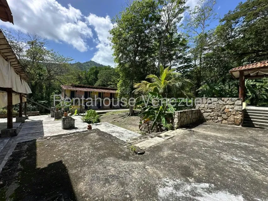 Comercial (Posada) en Venta en Cumboto, Aragua - 49
