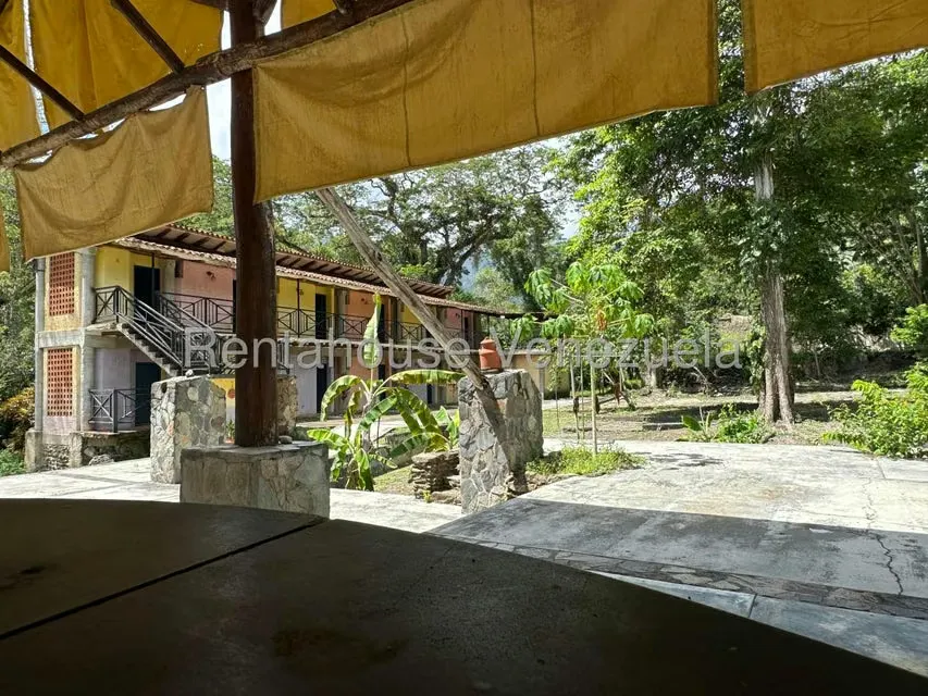 Comercial (Posada) en Venta en Cumboto, Aragua - 58
