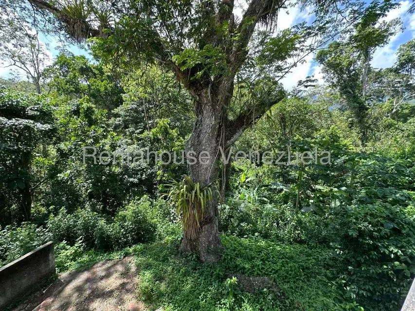Comercial (Posada) en Venta en Cumboto, Aragua - 64