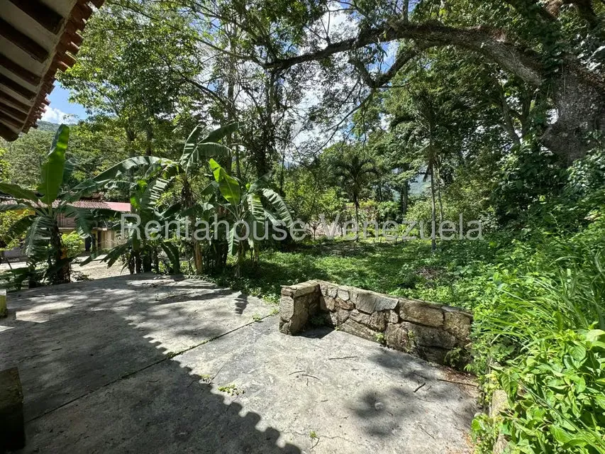 Comercial (Posada) en Venta en Cumboto, Aragua - 66