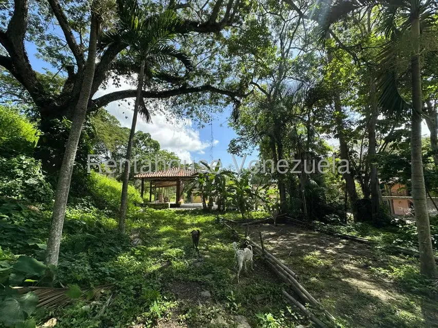 Comercial (Posada) en Venta en Cumboto, Aragua - 67