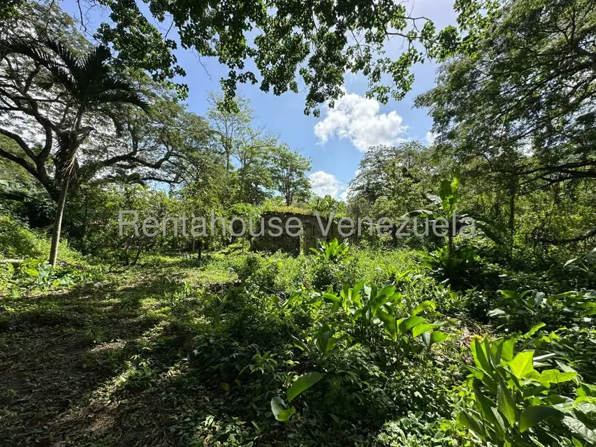 Comercial (Posada) en Venta en Cumboto, Aragua - 69