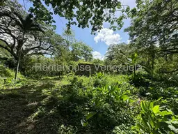 Vista 69