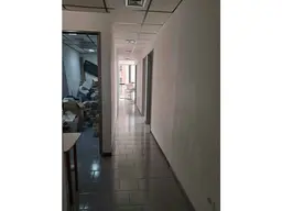 Vista 4