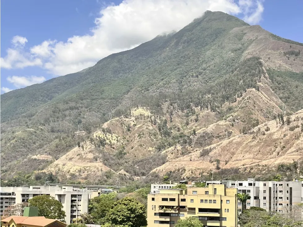 ALQUILER OFICINA BOLEITA NORTE 246 M2 (IG) - 2