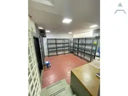 Vista 3