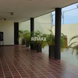 Vista 19