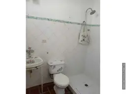 Vista 19