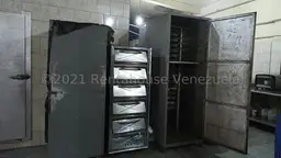 Vista 31