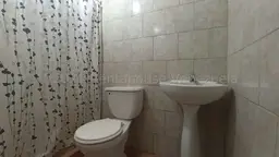 Vista 41