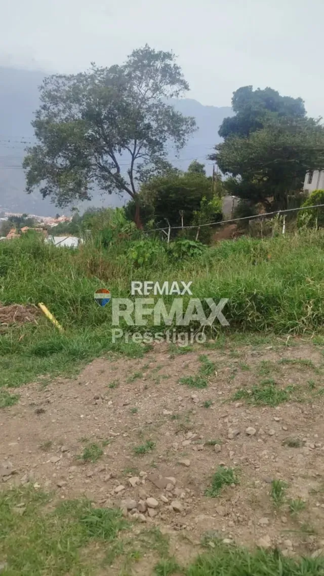 Terreno en Venta - 9