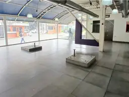 Vista 4
